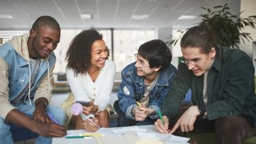 Students group studying