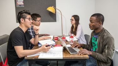 Students meeting on a project