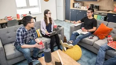 Students planning for a new project