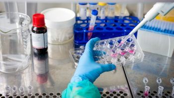 Scientist working in a lab